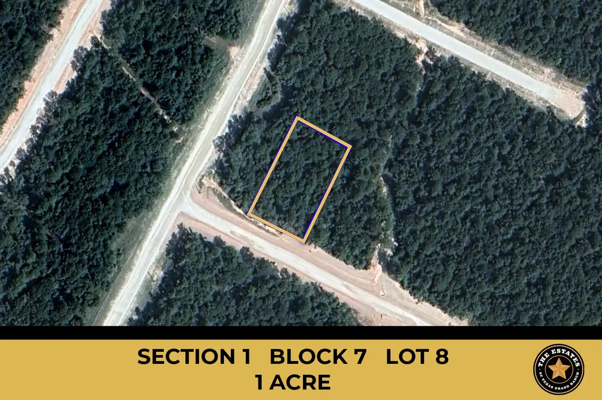 115 Bunkhouse Road, New Waverly, TX 77358 - #1