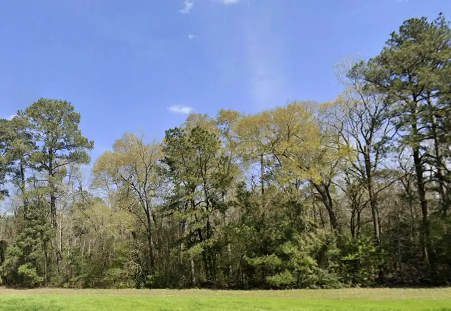 115 Bunkhouse Road, New Waverly, TX 77358 - #3