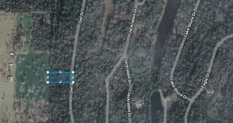 0 Owl Drive, Hempstead, TX 77445 - Image #3