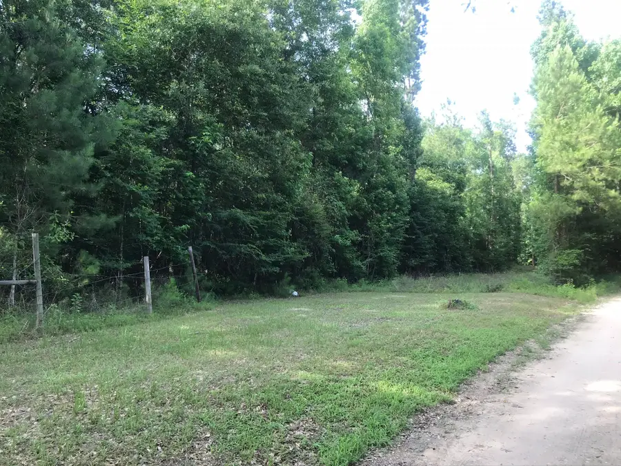 0 Frances Rd, Cleveland, TX 77328 - Image #2