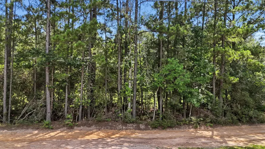 325 Natchez Road, Livingston, TX 77351 - #2