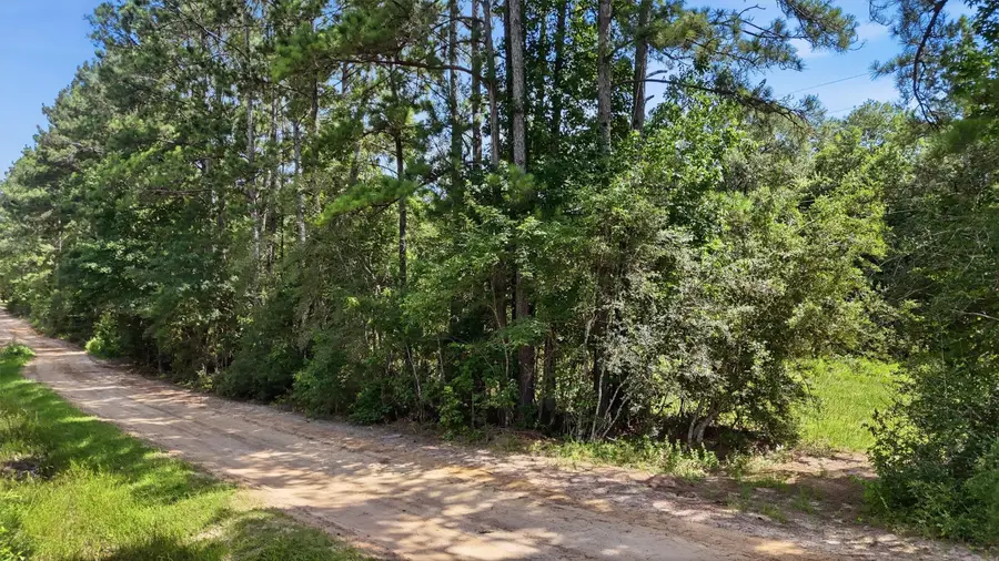 325 Natchez Road, Livingston, TX 77351 - #3