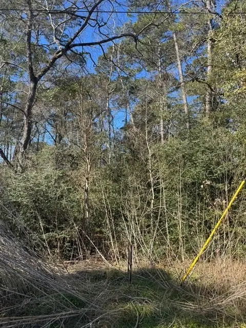 0 Sycamore Drive, Montgomery, TX 77356 - Image #2