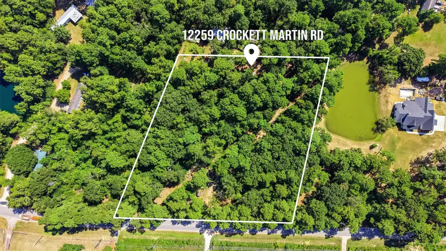 12259 Crockett Martin Road, Conroe, TX 77306 - #3