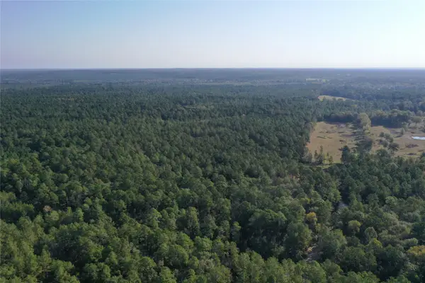 Tract 5 Trinity Lady Park Road, Trinity, TX 75862