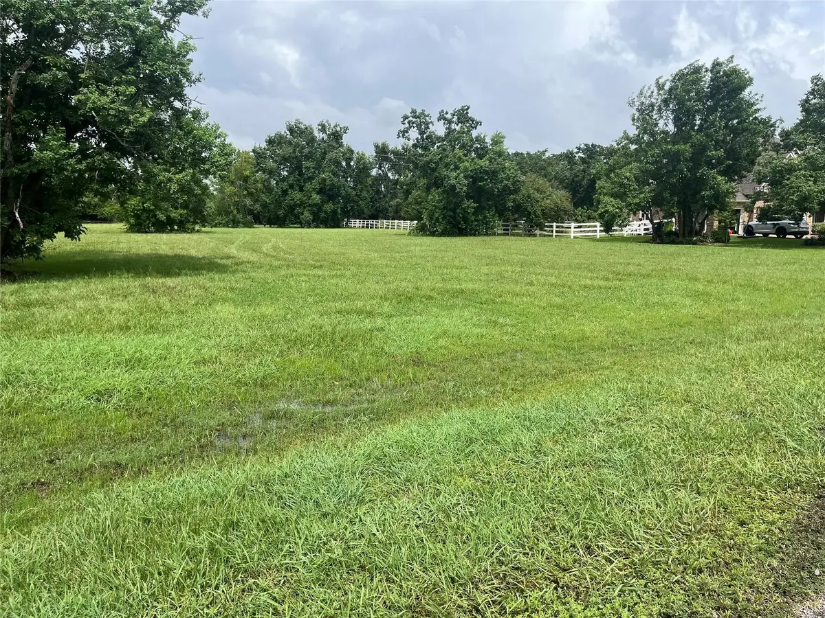 6703 Rustling Oaks Drive, Rosenberg, TX 77469 - #1