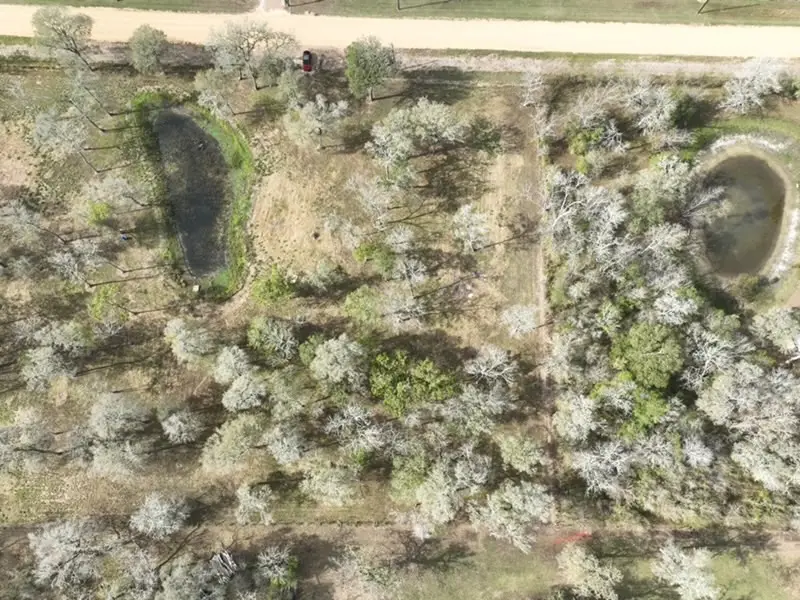 15425 Tierra Grande Drive, Needville, TX 77461 - Image #3