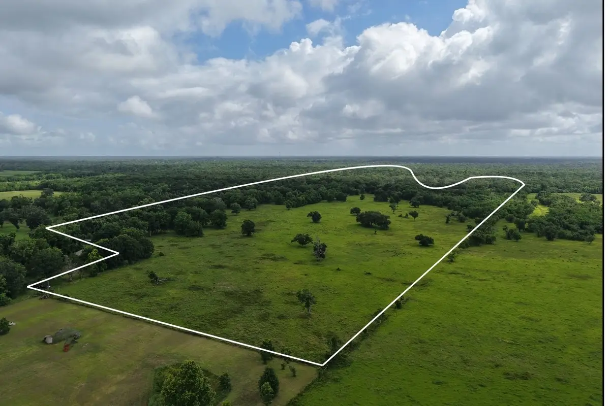TBD County Road 164, Cedar Lane, TX 77415 - #1