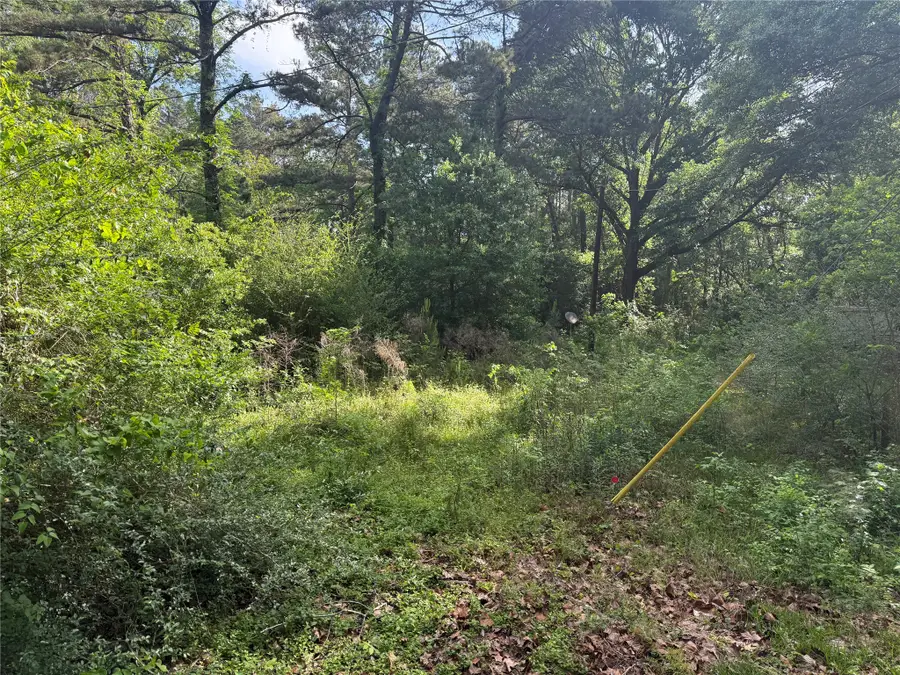 40 County Road 2203, Cleveland, TX 77327 - #2