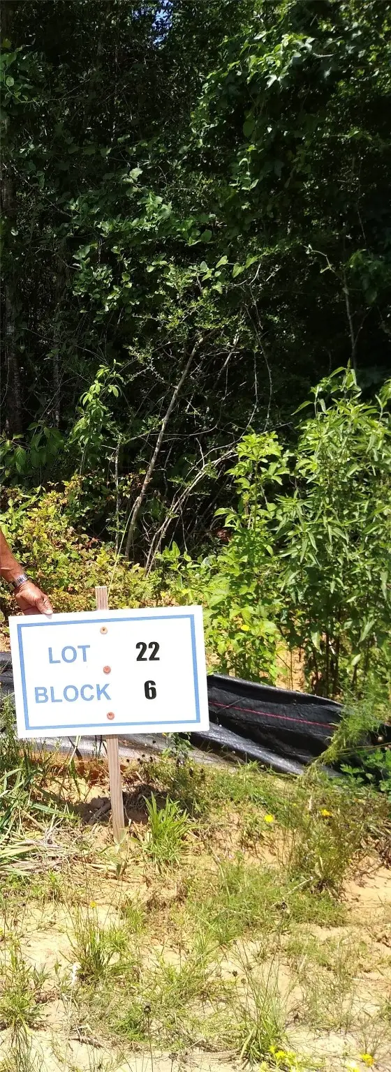 65 Coyote Run Road, New Waverly, TX 77358 - Image #3