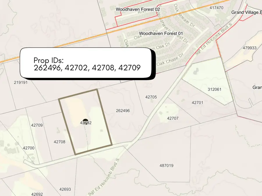 2274 Sgt Ed Holcomb Boulevard S, Conroe, TX 77304 - Image #3