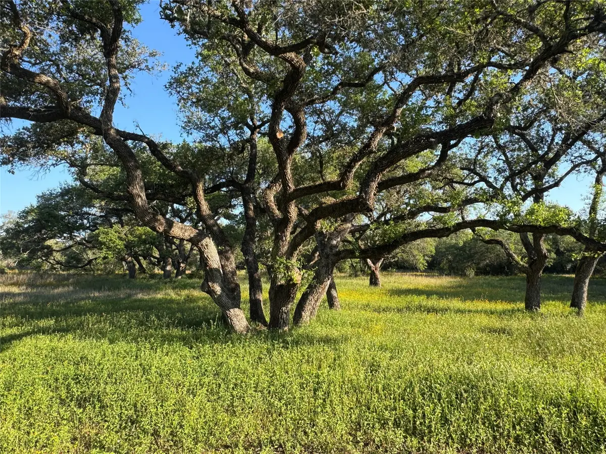 49 Shorebird Lane, Columbus, TX 78934 - #1
