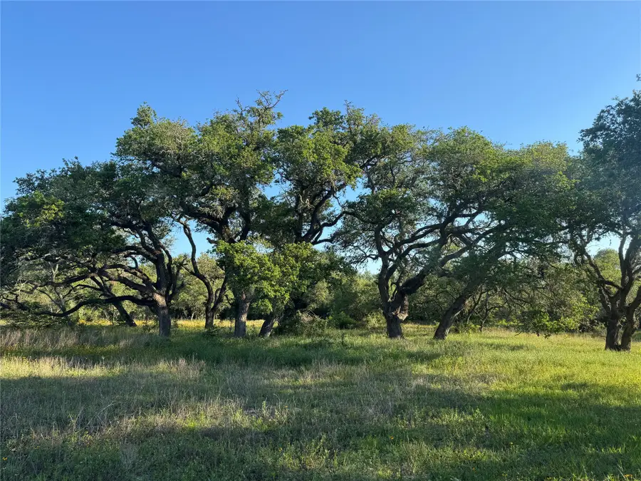 49 Shorebird Lane, Columbus, TX 78934 - #2