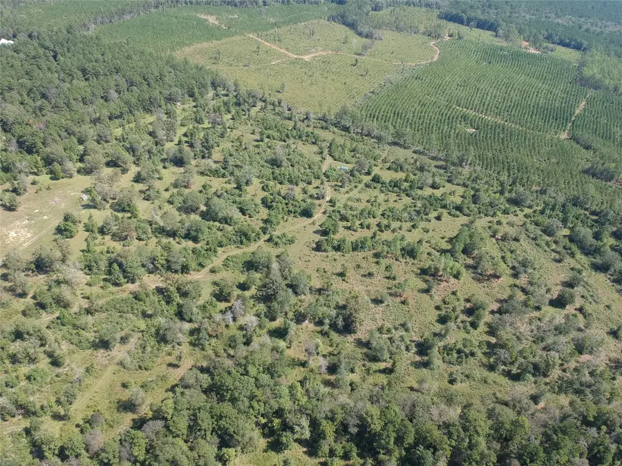 Tract 1 Private Rd 8385, Spurger, TX 77660 - #3
