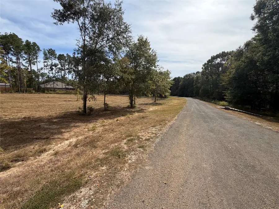 595 Eastgate Park, Livingston Onalaska, TX 77352 - #2