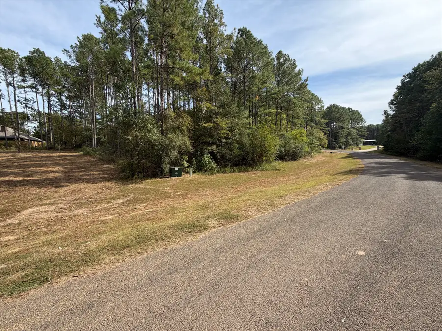 595 Eastgate Park, Livingston Onalaska, TX 77352 - #3