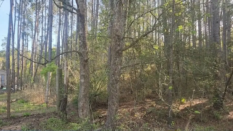 Lot 5 Walnut Tree Lane, Plantersville, TX 77363 - #2