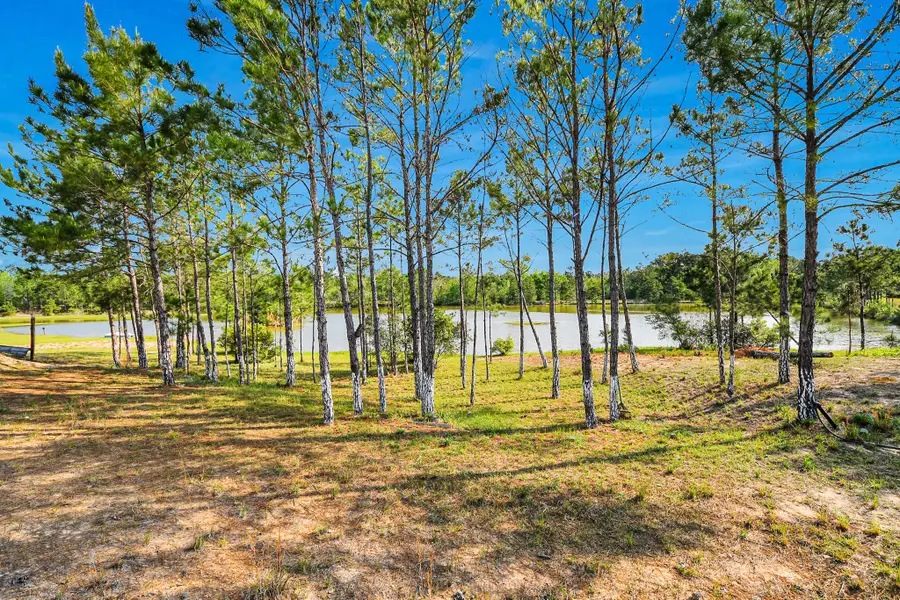 20065 Spring Hill Lane, Porter, TX 77365 - #3