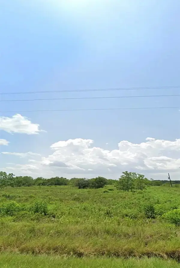 14153 Hamshire Road, Hamshire, TX 77622