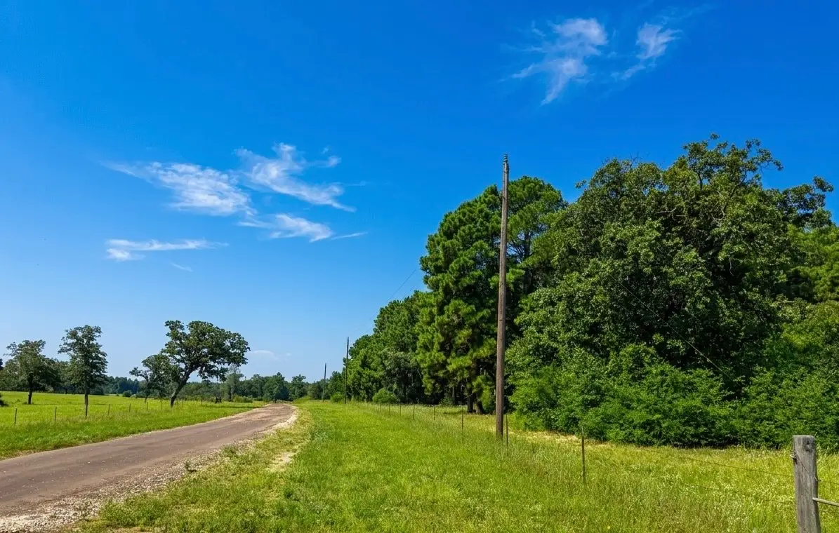 2447 Cr 261, Buffalo, TX 75831 - #1