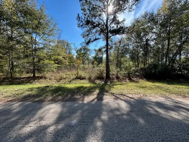 1964 County Road 3434, North Cleveland, TX 77327 - Image #2