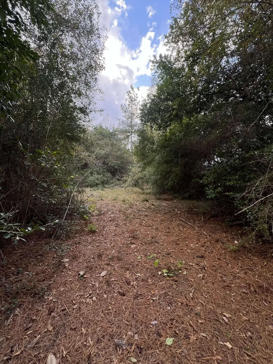 15121 Hwy 87 N S, Kirbyville, TX 75956 - Image #2