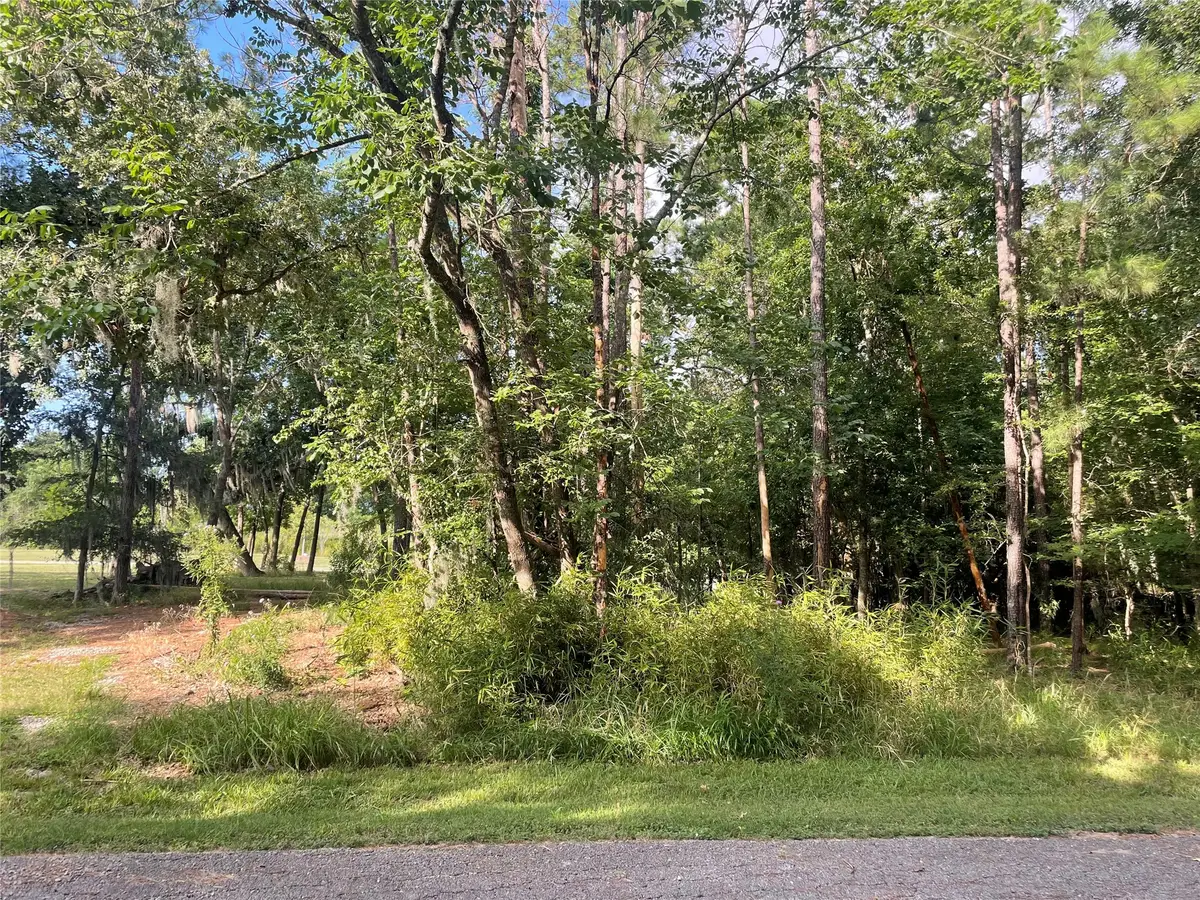 11 Crown Drive, Coldspring, TX 77331 - #1