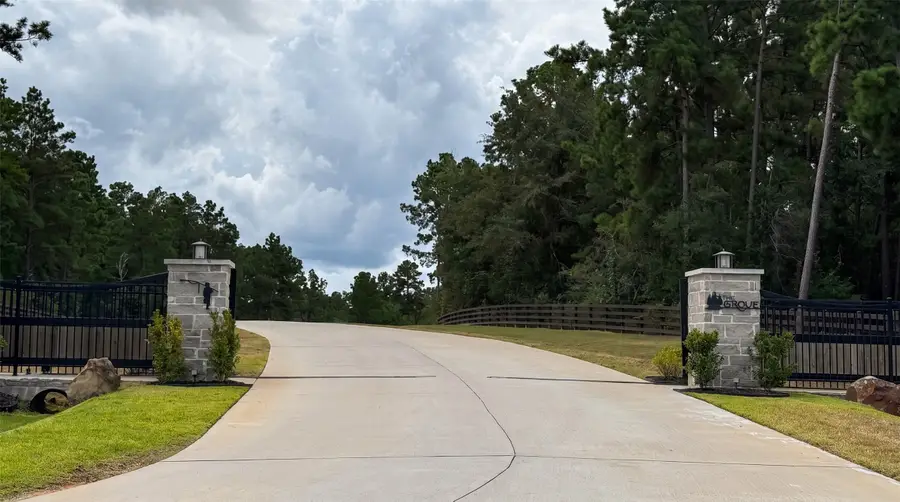 23725 Birch Grove Rd, Montgomery, TX 77316 - #3