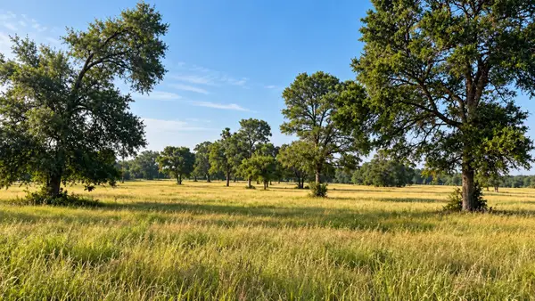 3222 Highway 21 E, Paige, TX 78659