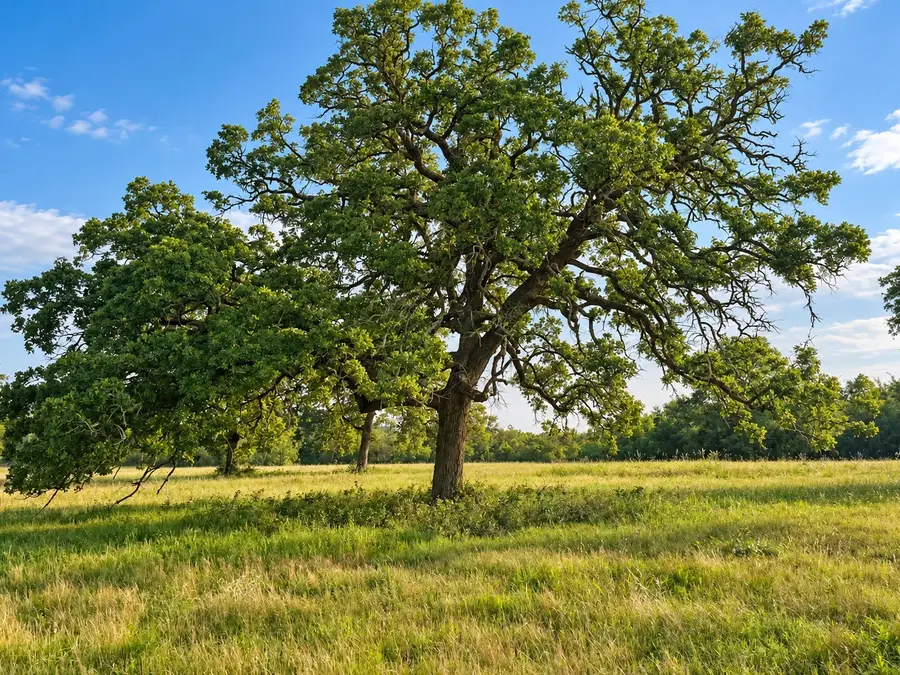 3222 Highway 21 E, Paige, TX 78659 - #3