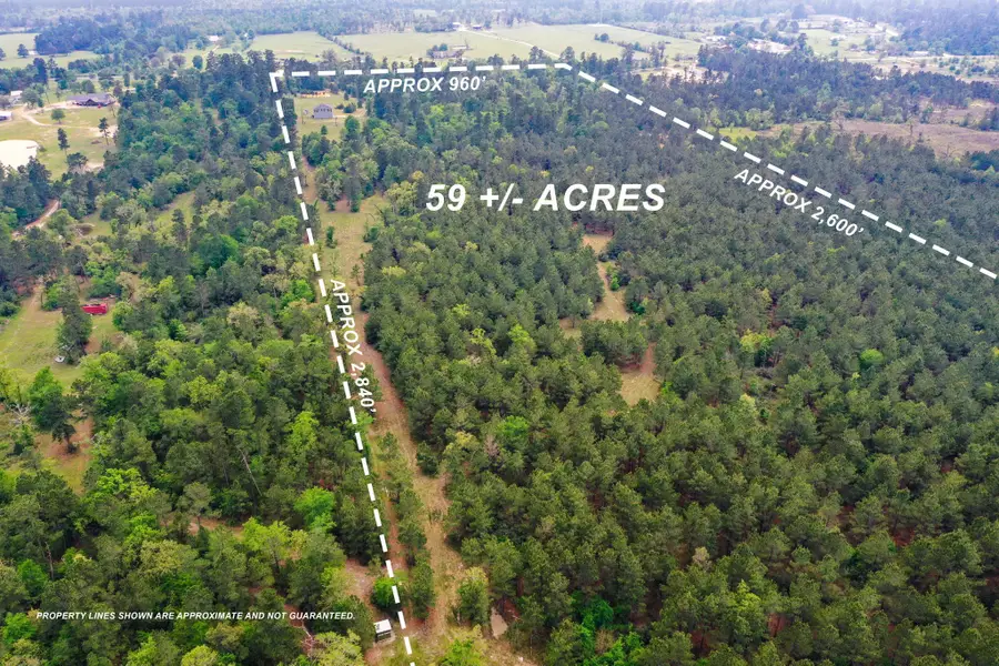 972 Fm 1696 Road W, Huntsville, TX 77320 - #3