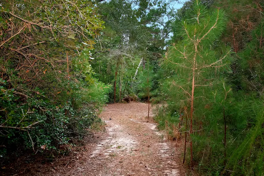 TBD Sky Oak Lane, Huntsville, TX 77340 - Image #2