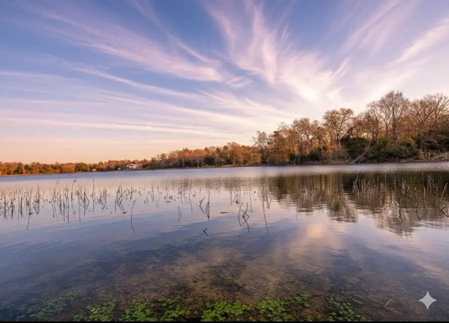 14556 County Road 445, Marquez, TX 77865 - #2