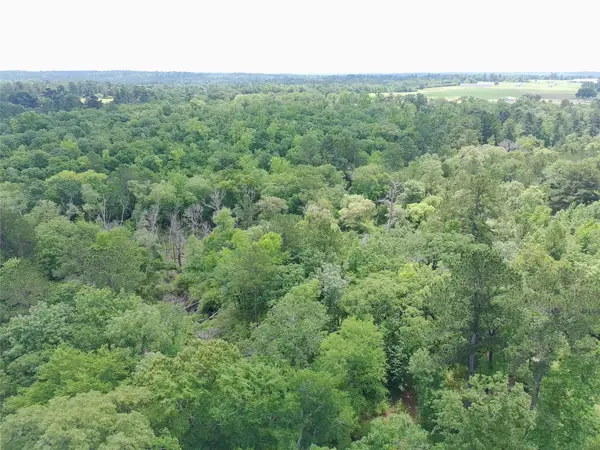 Tract 133 Pr 1313, Centerville, TX 75833