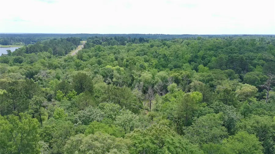 Tract 133 Pr 1313, Centerville, TX 75833 - #3