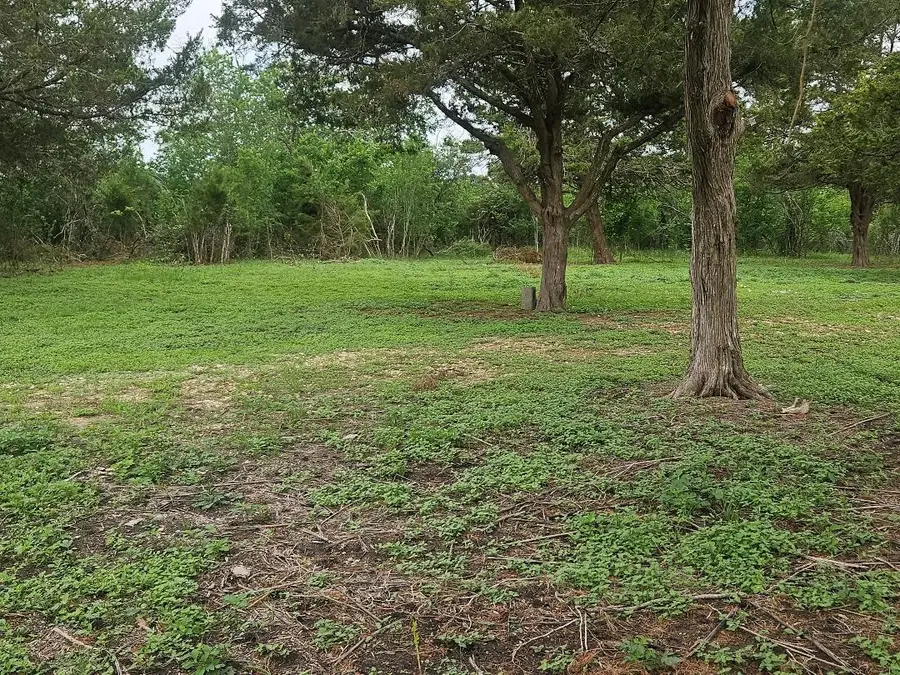 7055 Chadwick Hogan, Chappell Hill, TX 77426 - #2