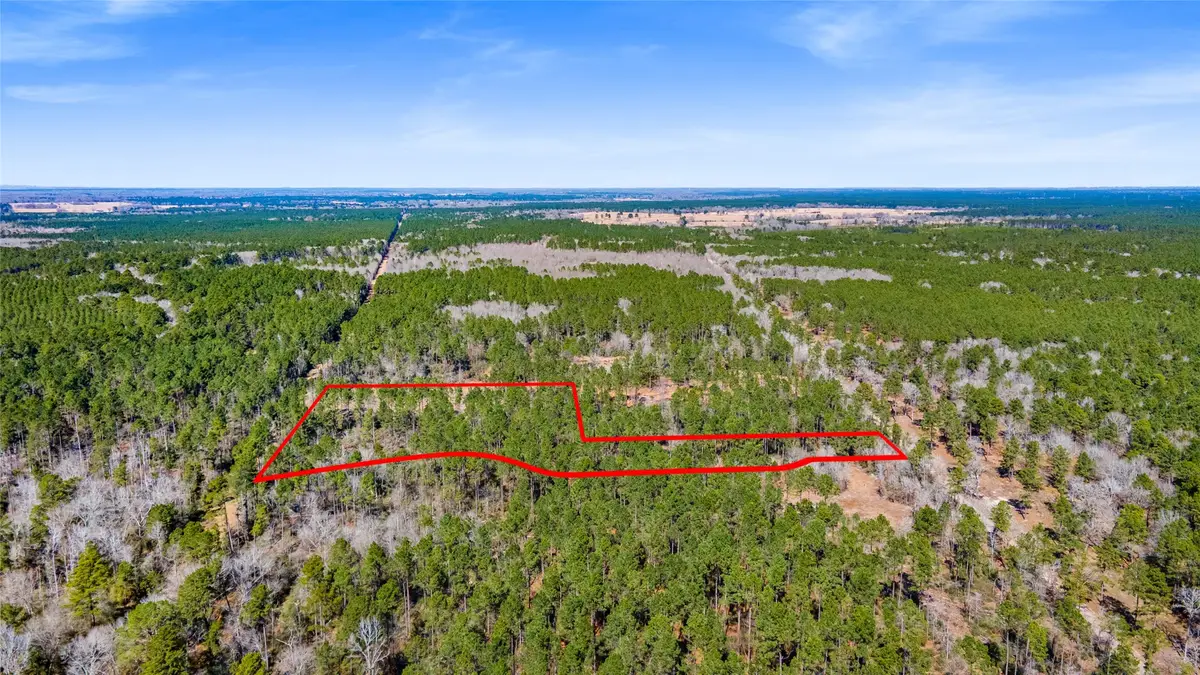 0 Bo Brown, Trinity, TX 75862 - #1