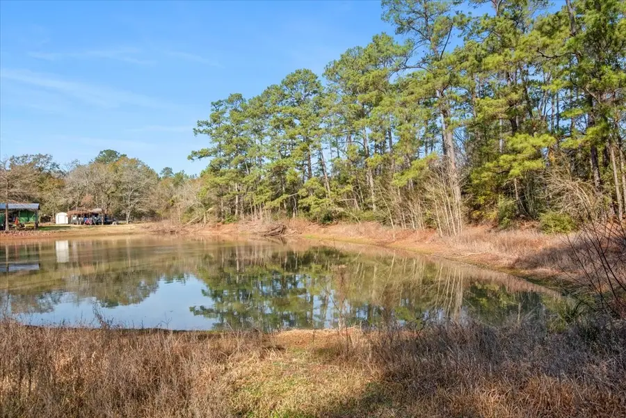 TBD Cr 201 Road, Plantersville, TX 77363 - Image #2