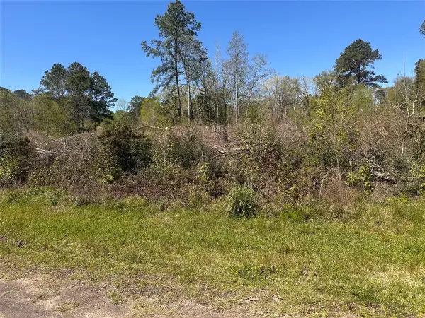 0 Dottie Lane, Shepherd, TX 77371