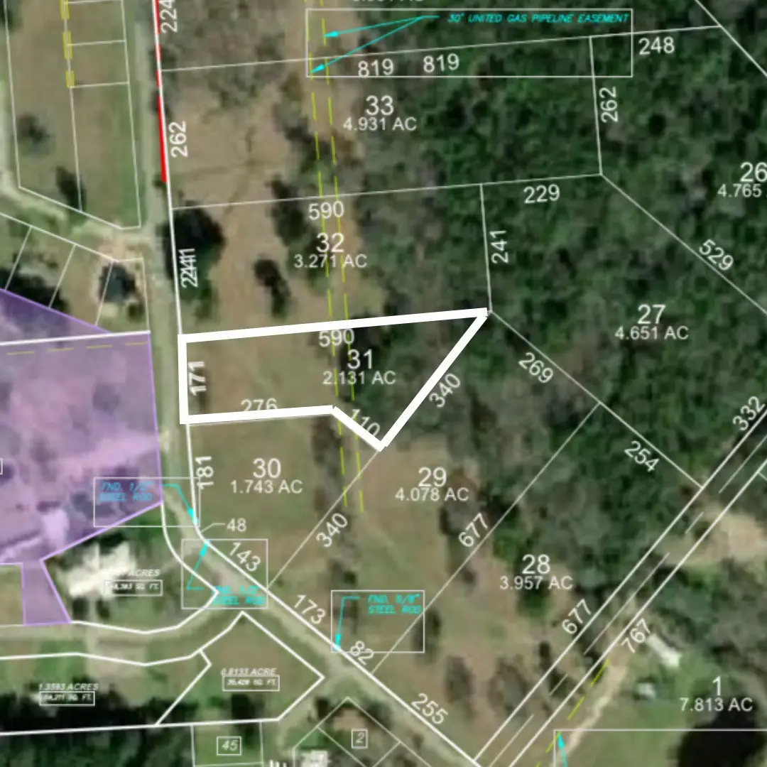 Lot 31 Lake Livingston Lane, Trinity, TX 75862 - Image #1