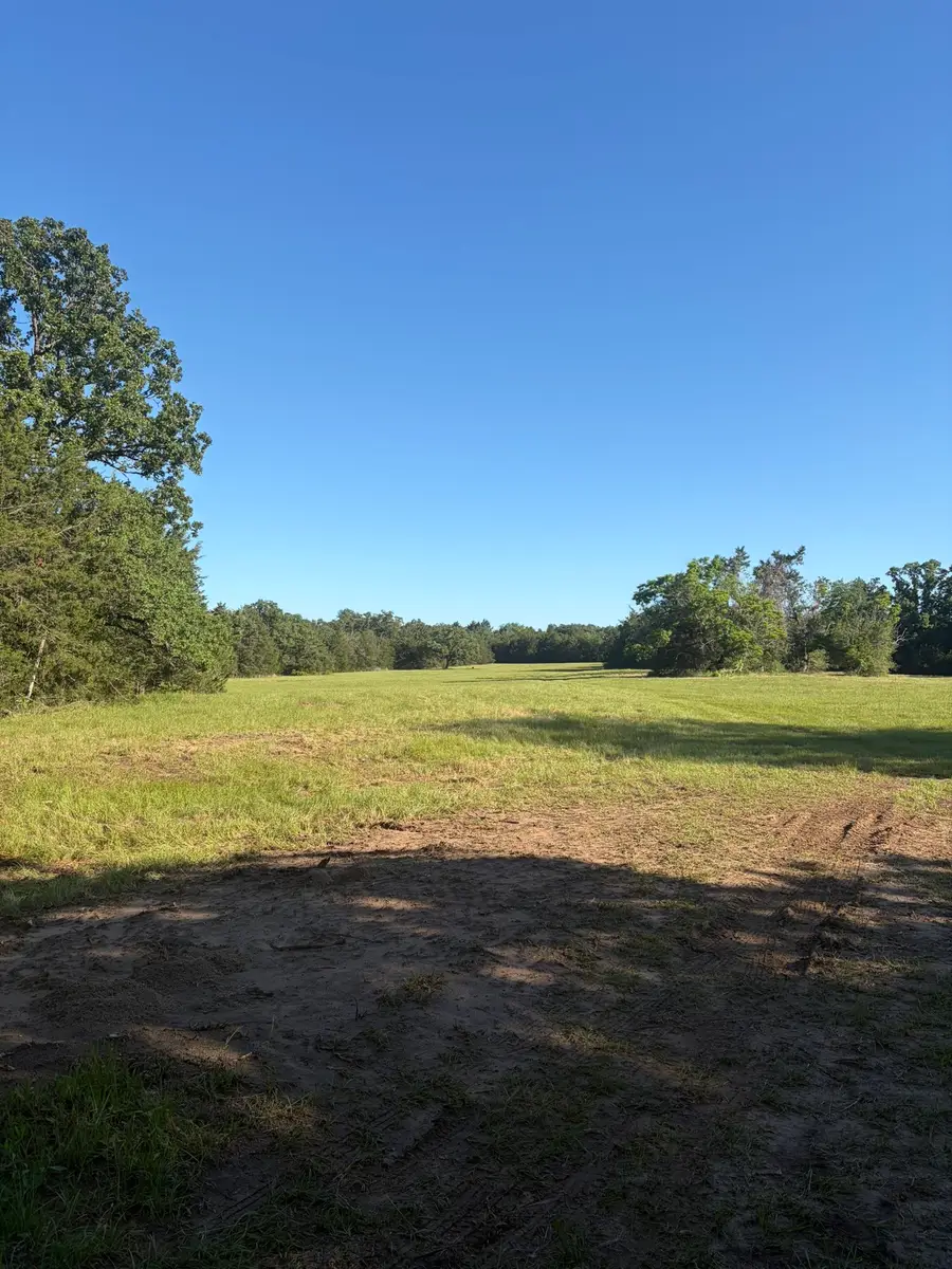 3231 Cr 427, Marquez, TX 77865 - #2