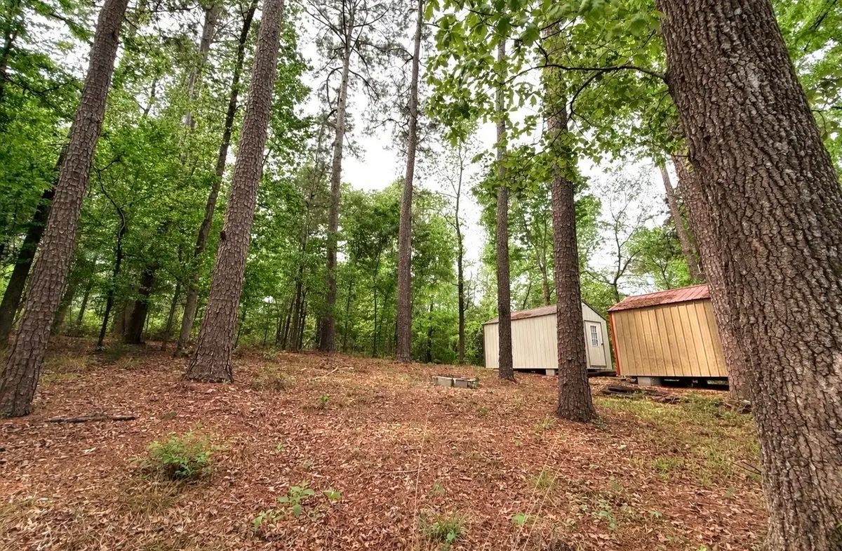 TBD Lakeshore Pt, Livingston, TX 77351 - #1