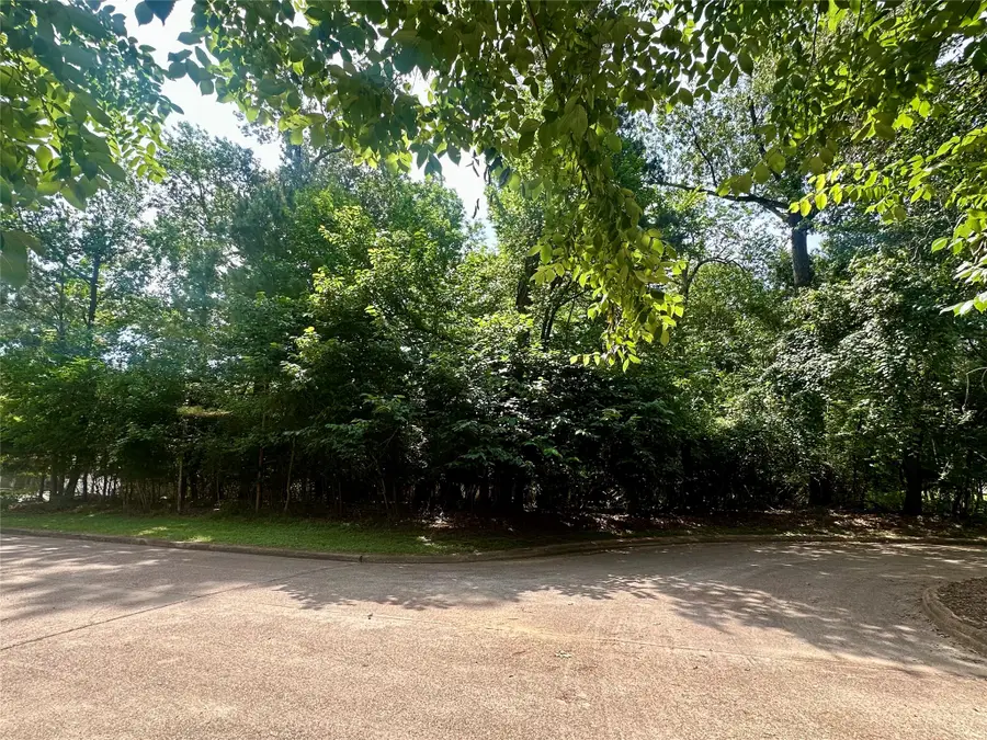 13419 Cherry Hill Circle, Montgomery, TX 77356 - #2