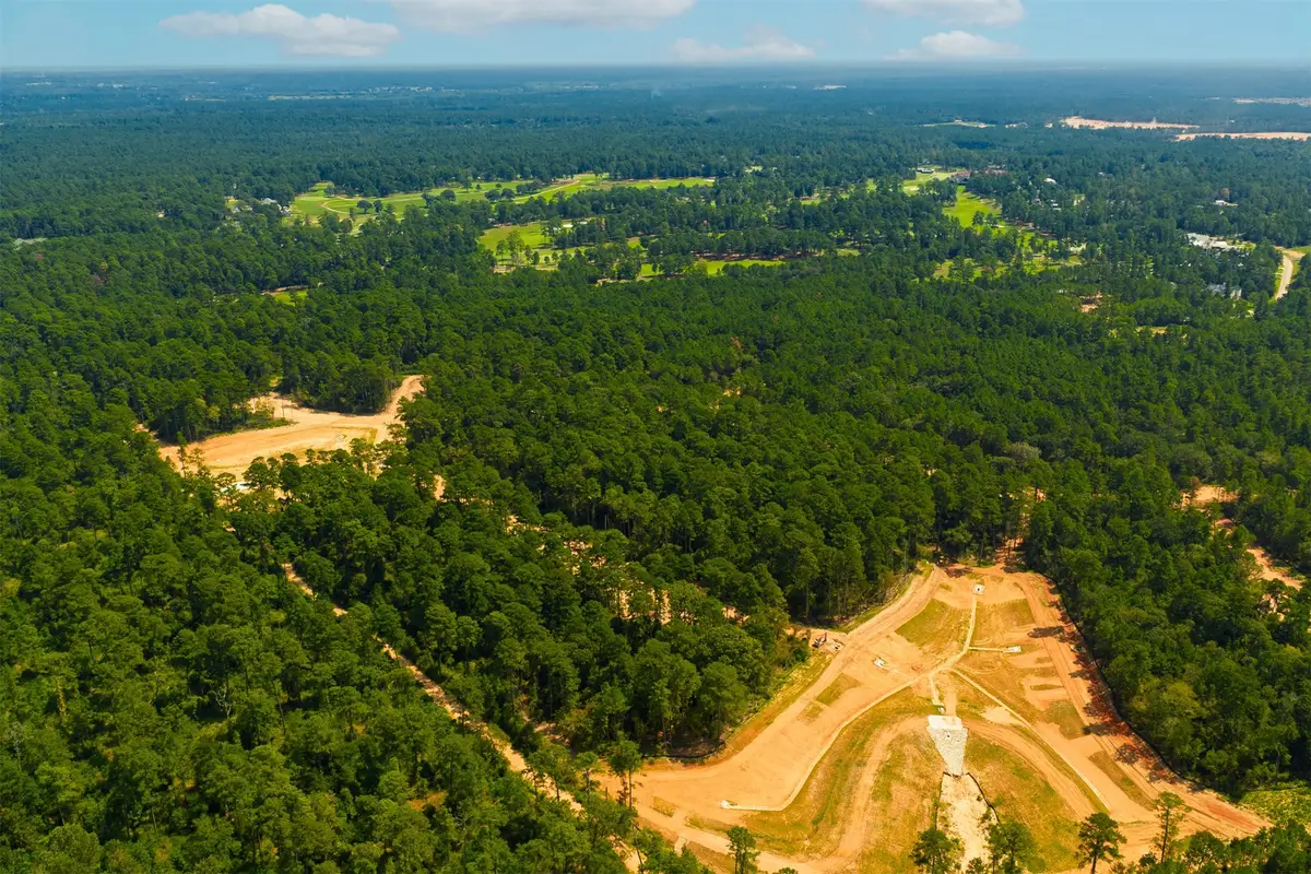 26536 Spyglass Drive, Montgomery, TX 77316 - Image #1