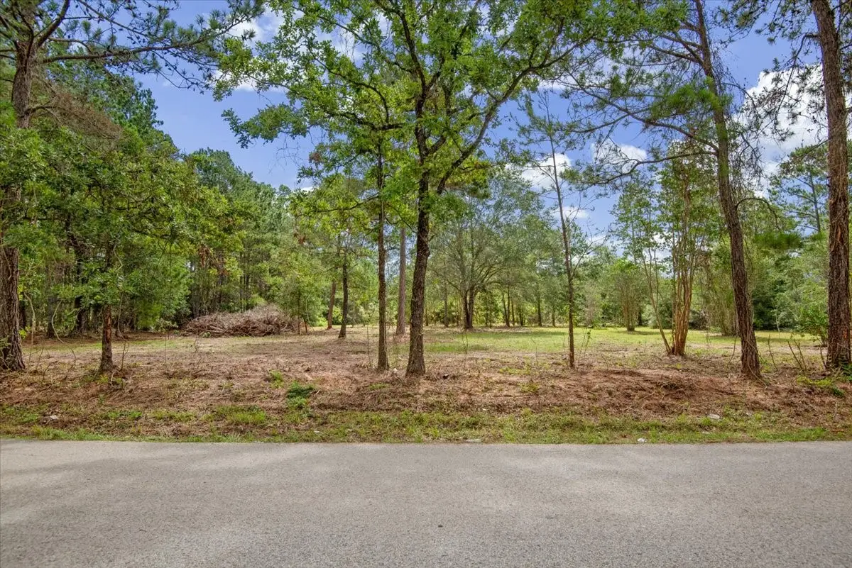 TBD Lot 4 County Road 302, Plantersville, TX 77363 - #1