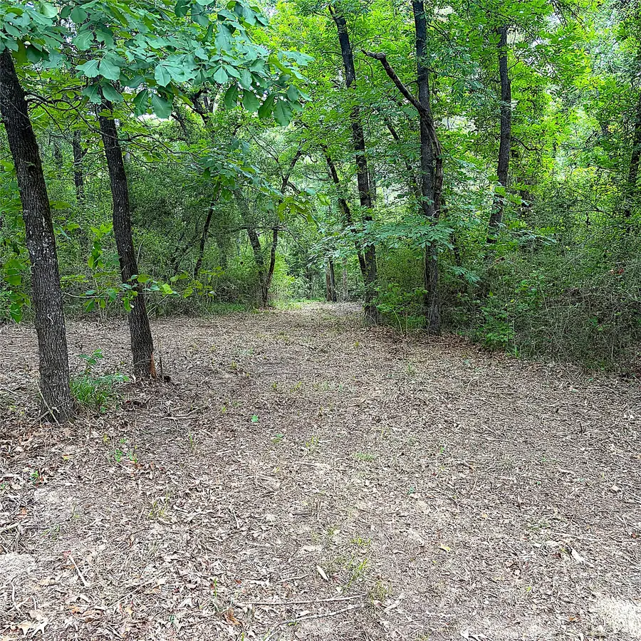 12789 E County Road 112, Centerville, TX 75833 - #3