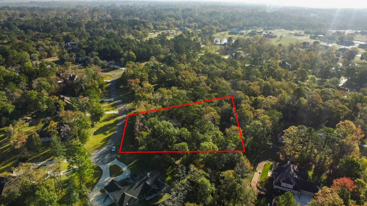 1410 Amber Cove, Willis, TX 77378 - Image #1