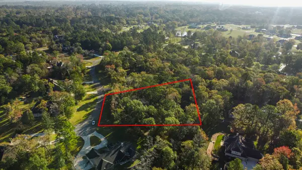 1410 Amber Cove, Willis, TX 77378