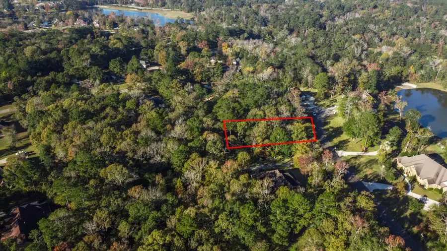 1410 Amber Cove, Willis, TX 77378 - Image #2