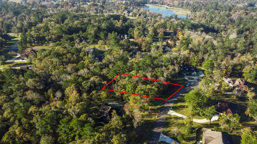 1410 Amber Cove, Willis, TX 77378 - Image #3